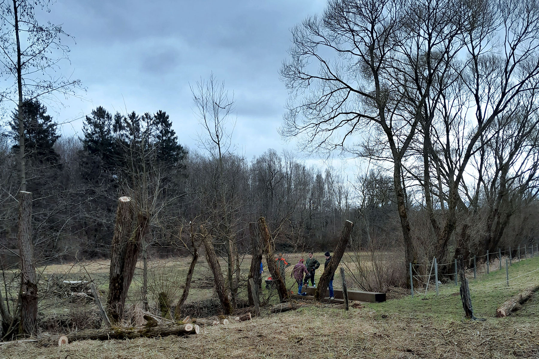 pflanzen. pflegen. sägen.